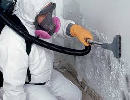 Best Environmental Consulting for Mold Prevention  in Dayton, IN